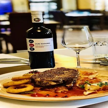 Oereg Miskolcz 4* מישקולץ