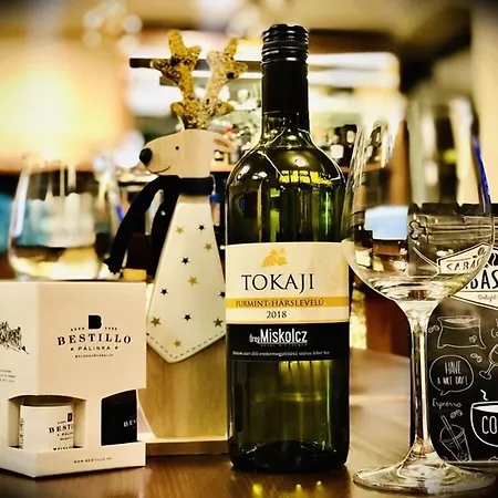 Oereg Miskolcz מלון מישקולץ